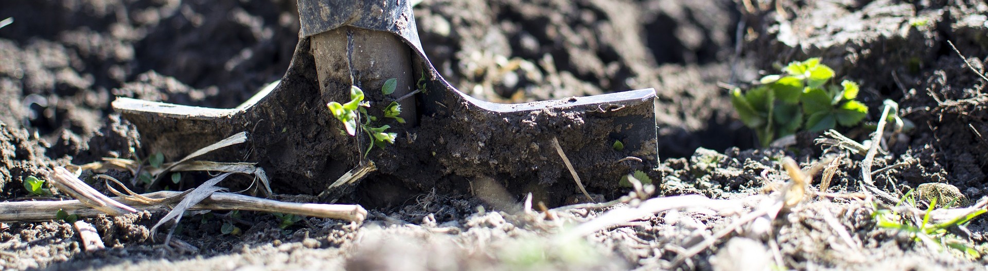 greenonline greenonline